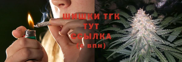 spice Бородино