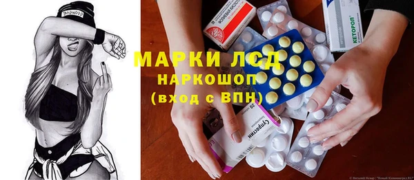 spice Бородино