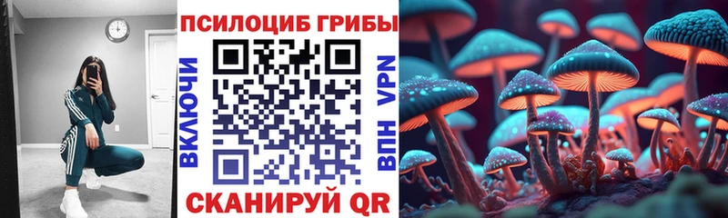 Псилоцибиновые грибы мицелий  где найти   Белёв 